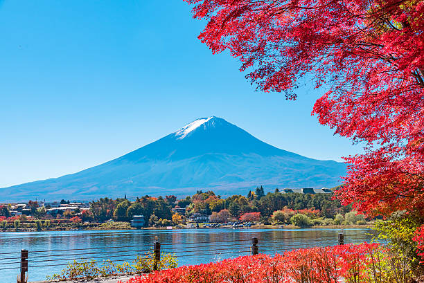 istock Mt.Fuji in autumn 545578778