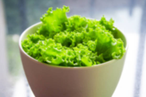 lattuga in ciotola - lettuce endive abstract leaf foto e immagini stock