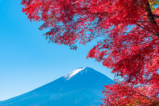 istock Mt.Fuji in autumn 545579348