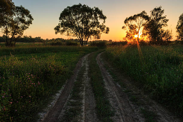 istock scene of beautiful sunset at summer 545579684