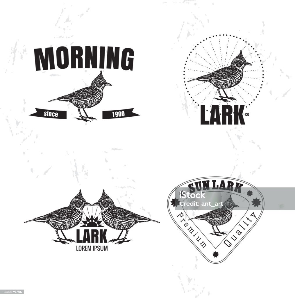 Vector colorful logo set with desert Crested lark bird Vector black and white set with desert Crested lark bird. The lark bird as main element of logotypes on white background. Engraves vector design graphic element, emblem, logo, sign, identity, logotype Lark stock vector