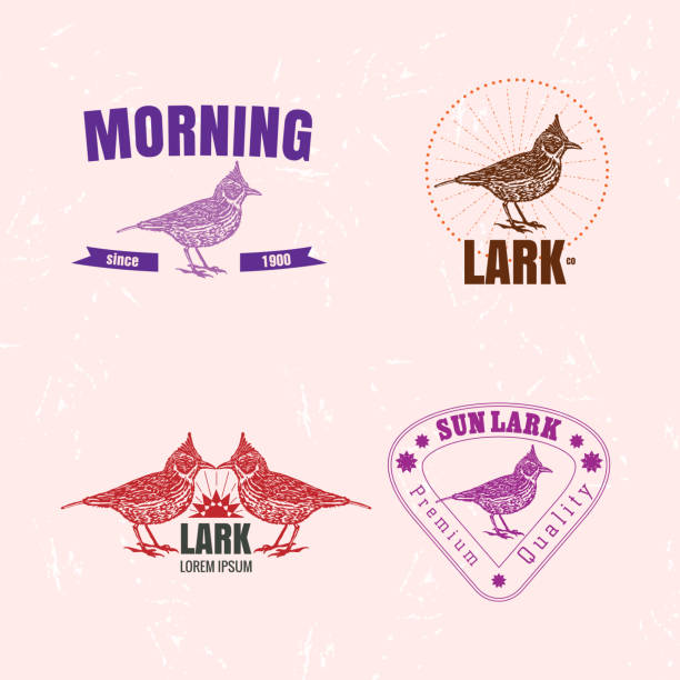 kuvapankkikuvitukset aiheesta vektori värikäs logo asetettu aavikko crested lark lintu - keltahupputurpiaali