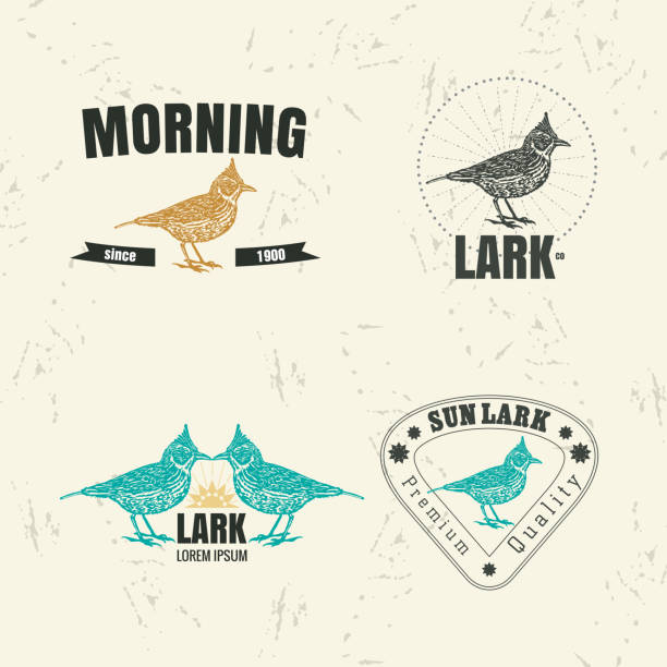 Vector colorful logo set with desert Crested lark bird Vector black and white set with desert Crested lark bird. The lark bird as main element of logotypes on white background. Engraves vector design graphic element, emblem, logo, sign, identity, logotype lark stock illustrations