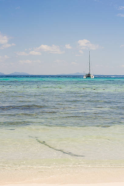 istock Ship on the horizon near a beach 545582614