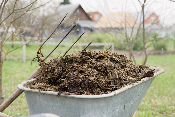 wheelbarrow full of manure - scented non urban scene spring dirt imagens e fotografias de stock