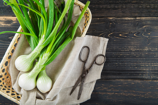 Fresh spring onions and old scissors on a black wooden background