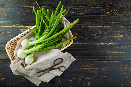 Fresh spring onions and old scissors on a black wooden background