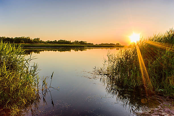 istock Scenic view of beautiful sunset above the pond 545584334