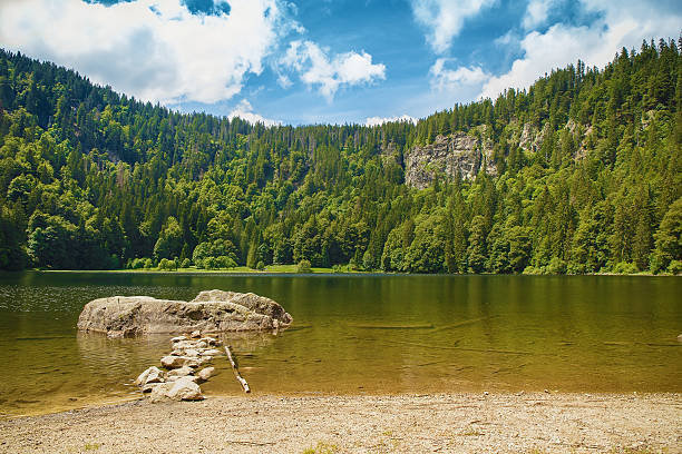 istock Feldsee mountain lake in the Black Forest. 545585398