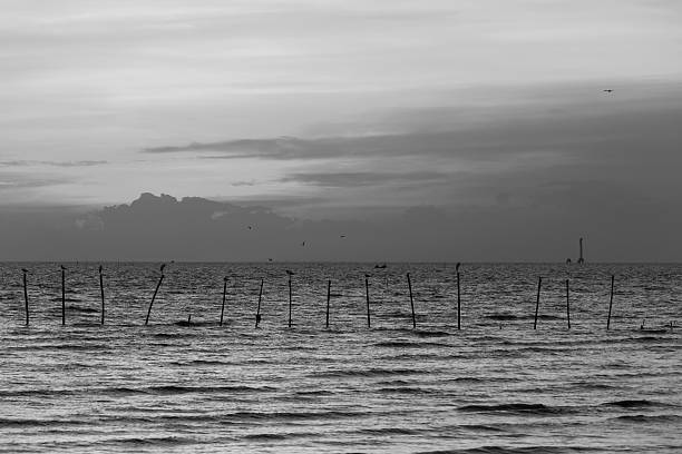 istock Black and White, Natural rock with seacoast 545586000