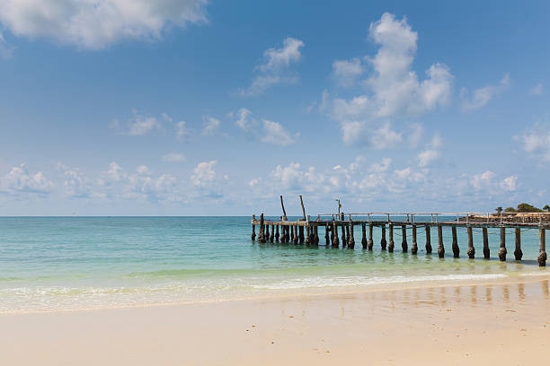 istock Beautiful natural seacoast landscape with blue sky 545587622