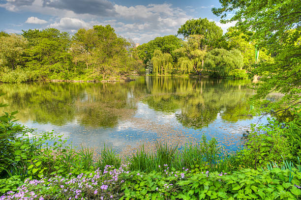 istock The Lake, Central Park, NYC 545589270