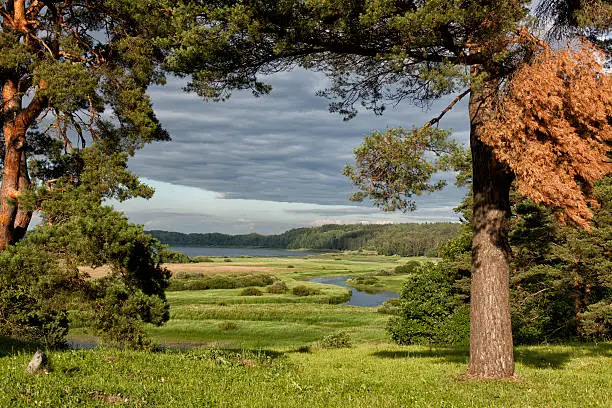 Photo of Natural landscapes in a historical place. Pushkinskiye Gory, Russia.