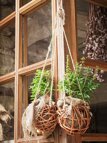 istock Vintage style of flower hanging 545589784
