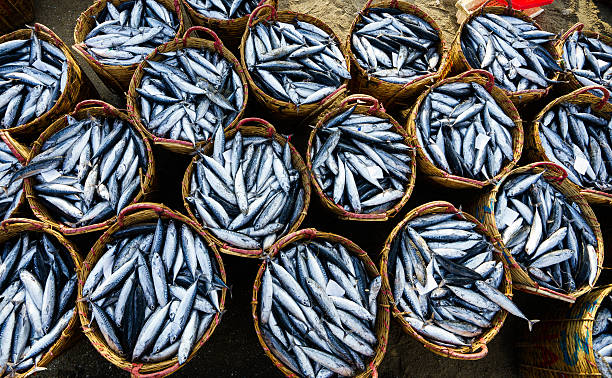 istock Fishes are put into bamboo basket 545591838