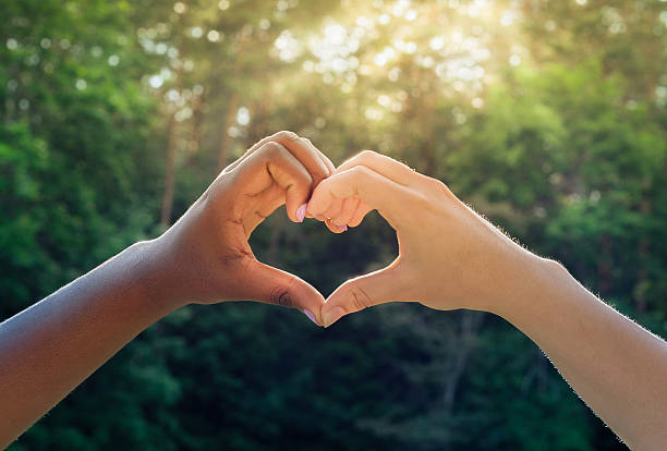 istock Black and white hands in heart shape, interracial friendship concept 545592954