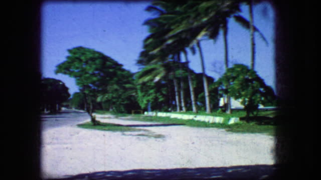1964: Tropical palm beach beach parking area yellow taxi cab type car.