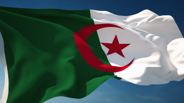 690+ Drapeau Algérie – Vidéos libres de droit 4K et HD - iStock