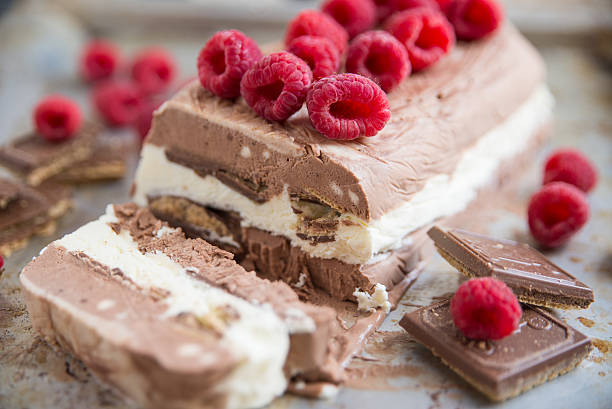 istock Chocolate Vanilla ice cream semifreddo 545635008