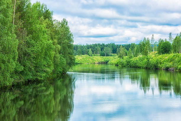 istock Umea River in Northern Sweden 545635414