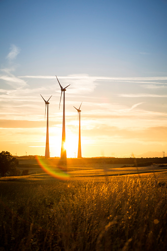 wind turbines in the countryside in the evening