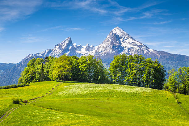 istock Watzmann mountain with green meadows in springtime 545636960