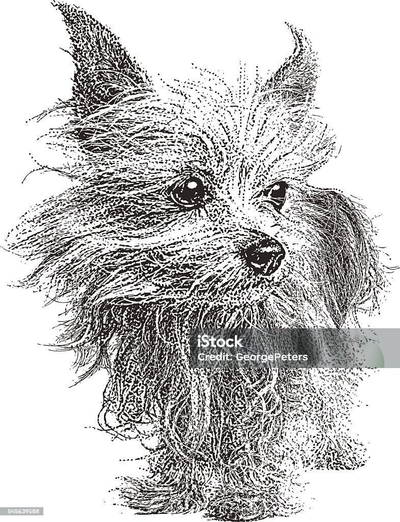 Yorkshire Terrier Dog. Isolated on white. Stipple illustration of a Yorkie with matted fur, hoping to be adopted. 10 years old. Isolated on white. Yorkshire Terrier stock vector