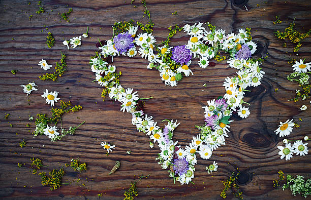 a asian girl picking and holding flowers on the meadow