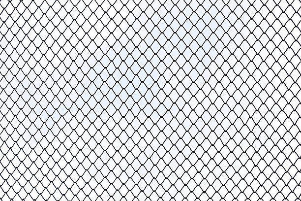 rete metallica in acciaio su sfondo bianco isolata. - topics barbed wire fence chainlink fence foto e immagini stock