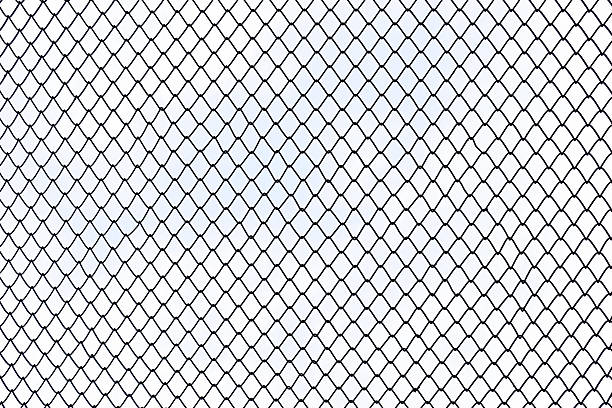 Steel wire mesh on white background isolated.