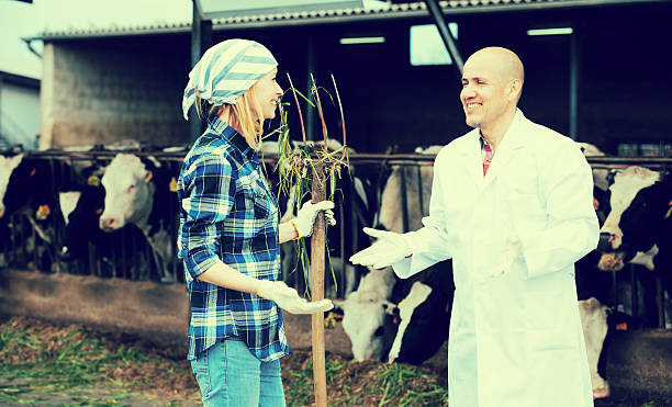istock Female worker and mature veterinary in farm 545641342