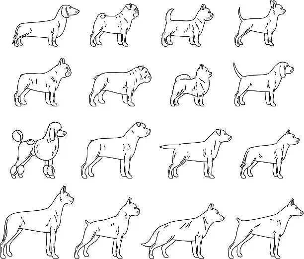 Vector illustration of Vector dog thin line icons collection isolated on white