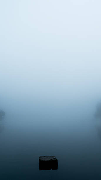 istock Stone in a lake on a foggy morning 545642848