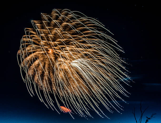 istock Fire Flowers in the night sky 545644382