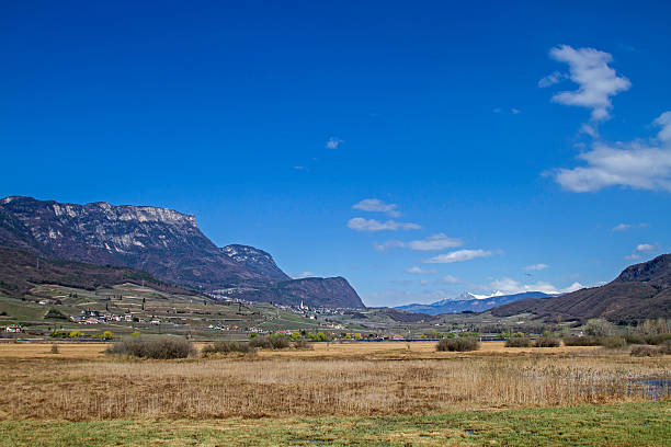 istock Kaltern   in South Tyrol 545645006