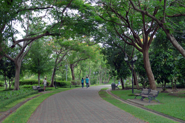 istock People relax in park and garden with blurred view 545645156