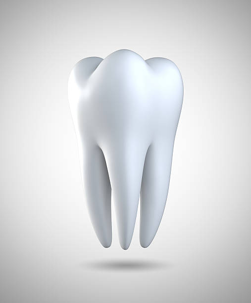 istock 3D illustration of tooth on gray background. 545645236