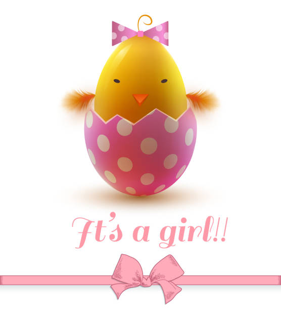 ilustrações de stock, clip art, desenhos animados e ícones de baby girl shower with cute bird. - chicken egg audio