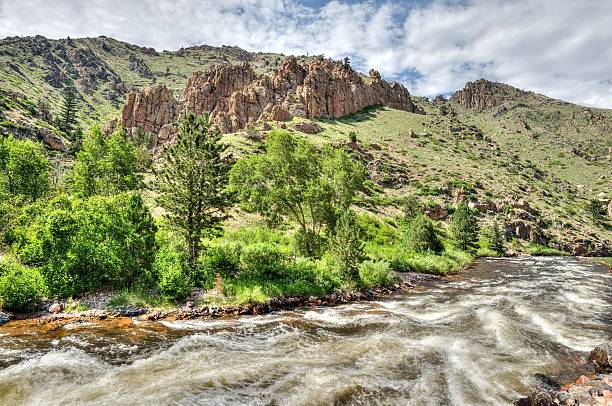 istock Hides Powder River Colorado 545648186