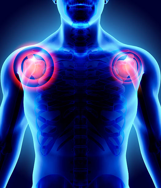istock 3D Illustration of shoulder painful. 545649456