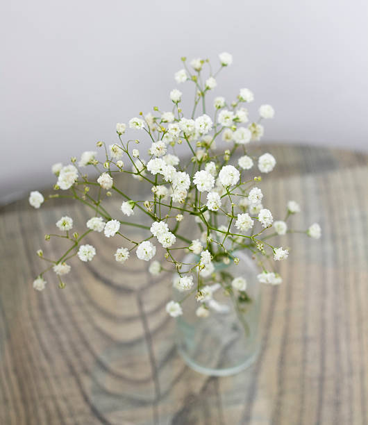 istock Unique Still Life of Different Glassware - vintage style background 545650152