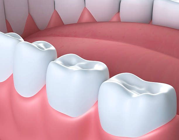 ilustracja 3d dolnej dziąseł i zębów. - healthy gums obrazy zdjęcia i obrazy z banku zdjęć