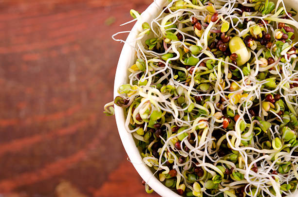 istock Microgreens assortment in paper cup. Healthy Green Salad with fresh 545652222