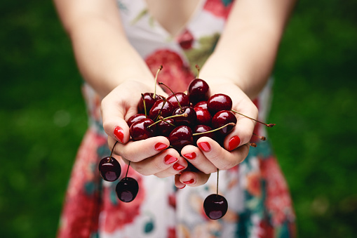 Hands full of cherries.