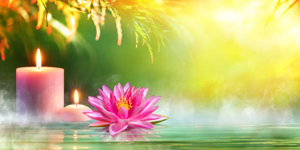 spa - sérénité et méditation - lotus reflection flower single flower photos et images de collection