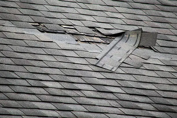 Photo of Damaged Roof Shingles