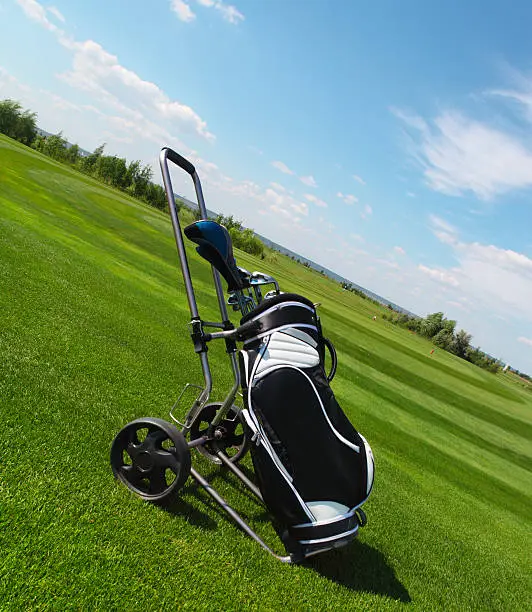 Golf clubs in golfbag on a grass background