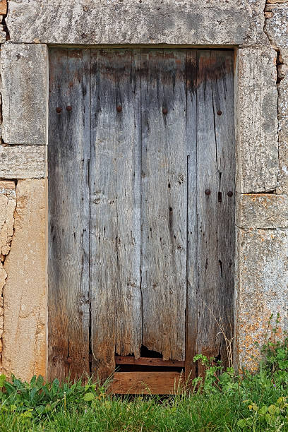 istock Damaged old wooden door overgrown with grass 545661886