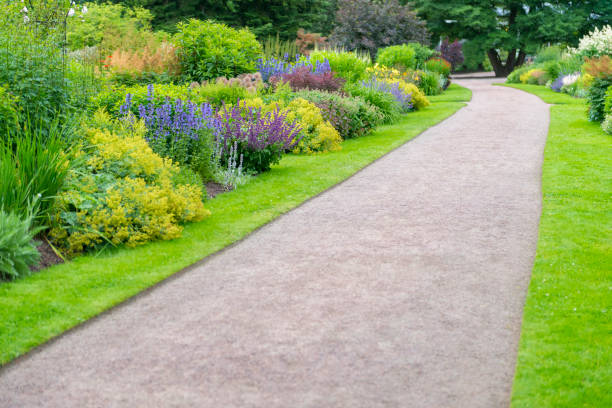 istock Beautiful summer garden in bloom 545663708