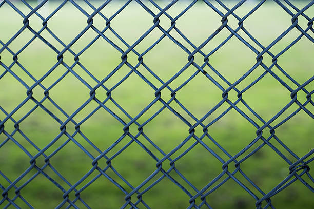 istock Chain link fence with field as background (colour) 545664554